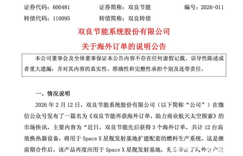 双良节能:上交所“打假”股价应声跌停,高负债与续亏压力并存 双良节能:上交所“打假”股价应声跌停,高负债与续亏压力并存