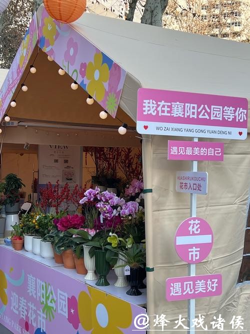 上海老牌花市焕新升级，新增6300㎡公园绿地；新年表情包界“萌王”来啦